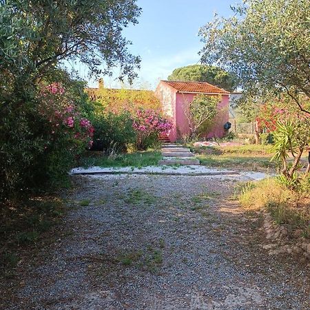 Maison De Vacances, Proche De La Plage Fréjus Exterior foto