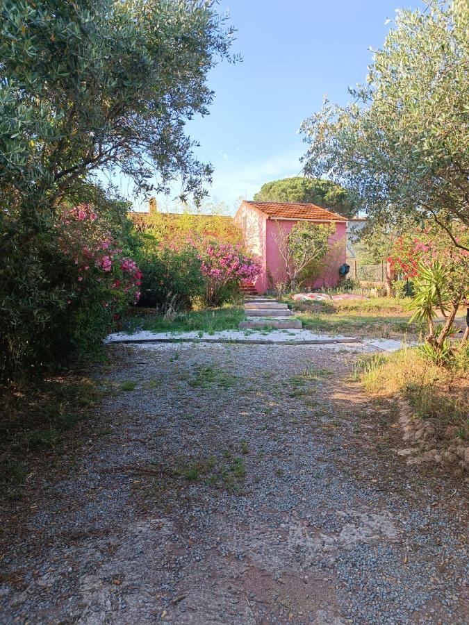 Maison De Vacances, Proche De La Plage Fréjus Exterior foto